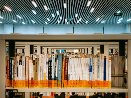 Slottio Casino Mobile App